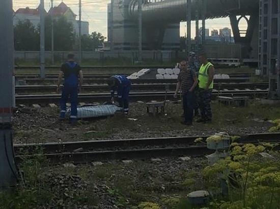 Тело петербуржца без головы нашли на станции Обухово