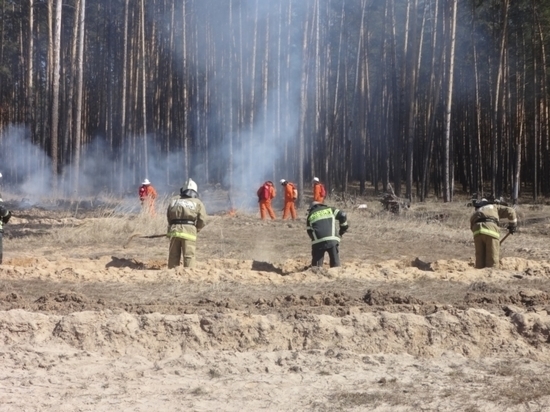 Лучшего лесного пожарного выберут в Чувашии