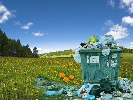 Организации в Стругах Красных обязали очистить прилегающие территории от мусора