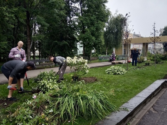 Предприниматели Смоленска помогают с озеленением старейшего парка