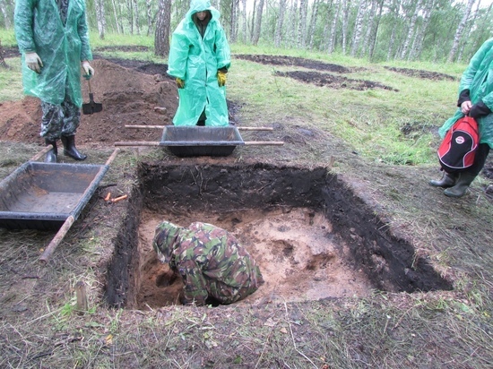 В Тверской области археологи начали копать разграбленное городище
