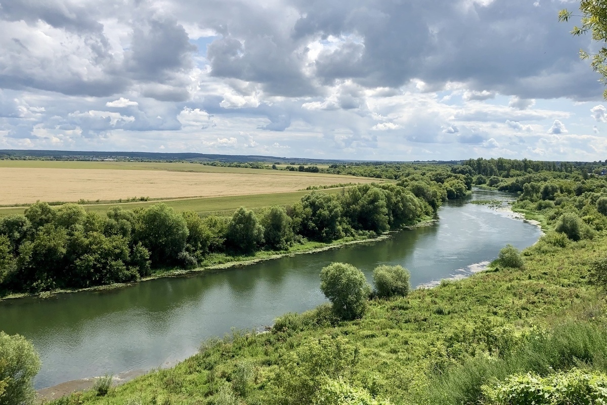Река упа одоев. Река красивая меча липецкая область. Река ока в туле. Упа (приток оки). Река красивая меча в ефремове тульская область.