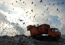 Как и любое масштабное нововведение, порядок утилизации твердых коммунальных отходов (ТКО) не обошелся без проблем