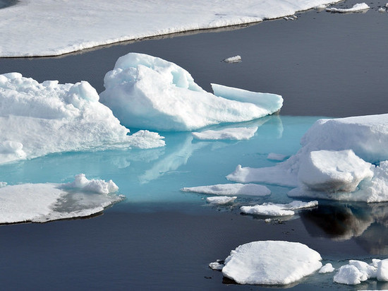 Трутнев: «О стимулах для Арктики в ближайшие недели расскажут президенту РФ»
