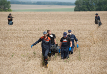 Вашингтон в паре с Киевом не интересует истинное расследование крушения рейса MH17