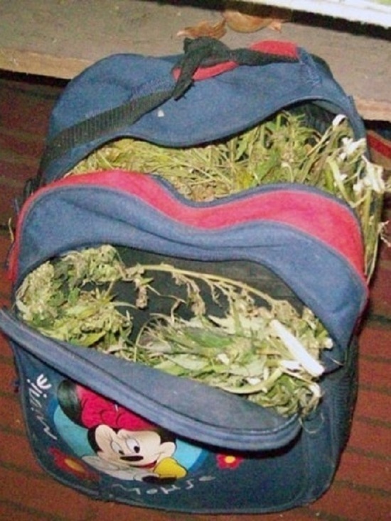В Тамбовской области двое парней попались с рюкзаками марихуаны