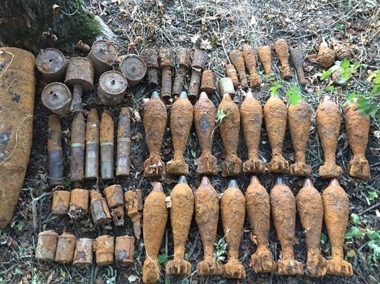 В Калининградской области за сутки обнаружили 35 боеприпасов ВОВ