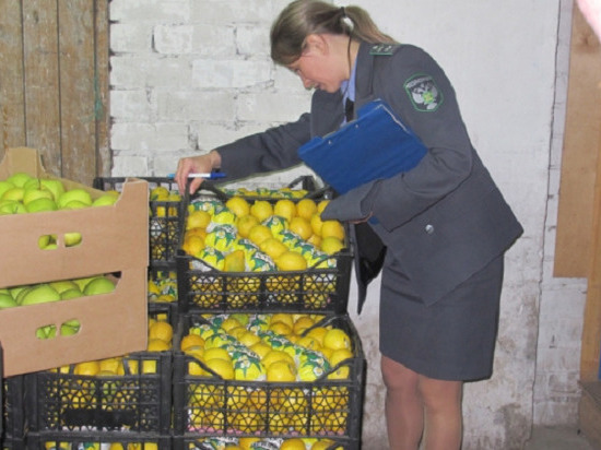 В Кирове нашли 847 килограммов опасных овощей и фруктов