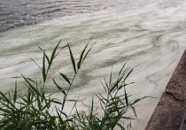 Накануне, 25 июня, воронежцев насторожили опубликованные в социальных сетях фотографии поверхности водохранилища с обилием грязной пены
