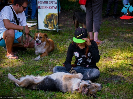 В Челябинске пройдет фестиваль гуманного отношения к животным