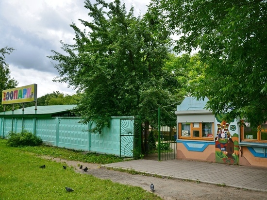 Ивановский зоопарк останется на прежнем месте