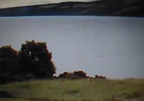 54-летний житель Британии Джон О’Фаодхаген 10 июля снял на видео двух крупных существ в шотландском озере Лох-Несс
