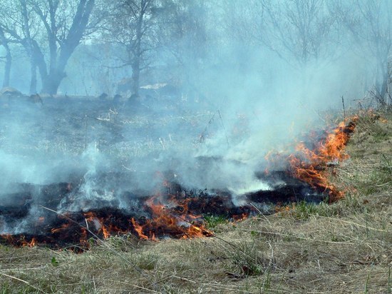 Дым от горящих в Сибири лесов накрыл Казахстан