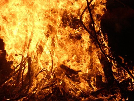 «Сибирь брошена и предана»: алтайский фотограф жестко высказался о пожарах