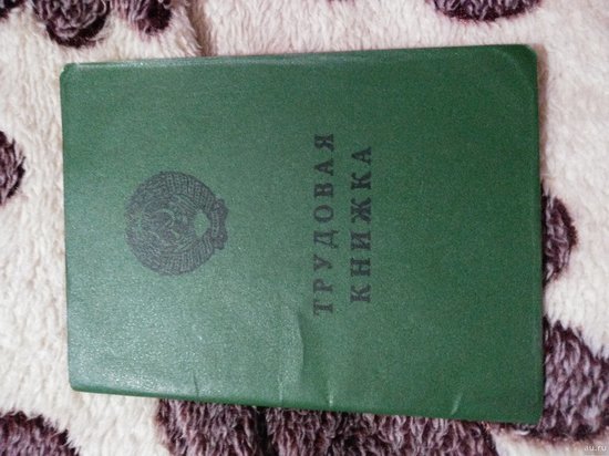 За подложные документы на получение гранта фермерша из Калмыкии получила срок