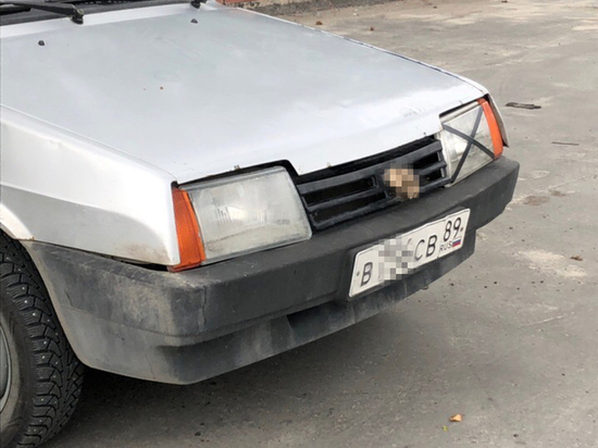 Житель Ноябрьска украсил автомобиль головой мертвой кошки