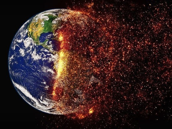 Следующее массовое вымирание на Земле ожидается в 2100 году