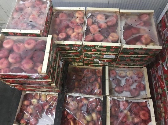 На Кубани уничтожили почти 2 тонны санкционных испанских персиков
