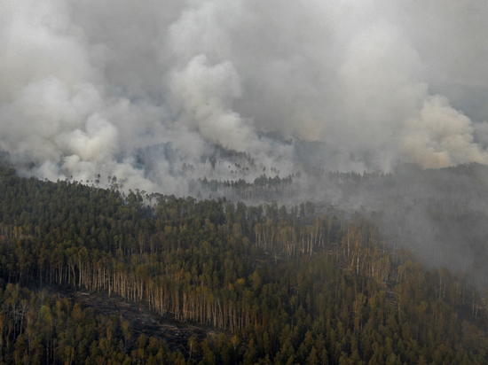 В трех регионах Сибири введен режим ЧС из-за пожаров