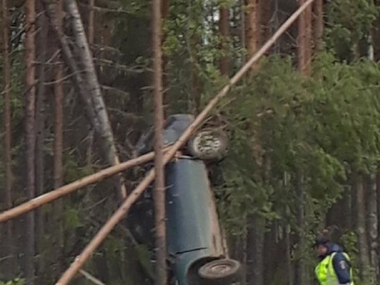 Смертельное ДТП под Холмогорами: машина повисла между деревьями