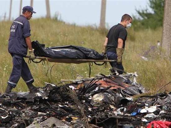 Нидерланды отказались принять данные детектива из Германии по MH17
