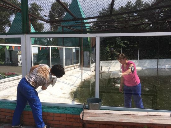 В Хакасии волонтеры поддержали акцию по благоустройству Абаканского зоопарка