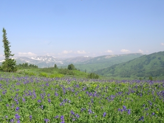 В Кузбассе появятся первый природный парк и новый заказник