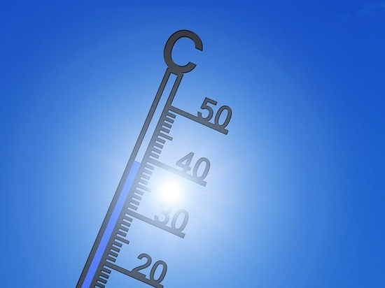 Температура в августе в Псковской области будет ниже нормы