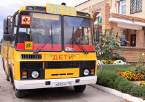 Новые автобусы для перевозки столичных школьников оснастят алкозамком и контролем движения на полосе