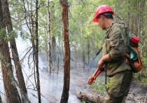 Если сложить все усилия пожарных, задействованных сегодня  в тушении огня в лесах Сибири, то получится, что они отвоевывают лишь 5% от того, что горит