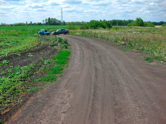 В Тамбовской области две легковушки не разъехались в поле