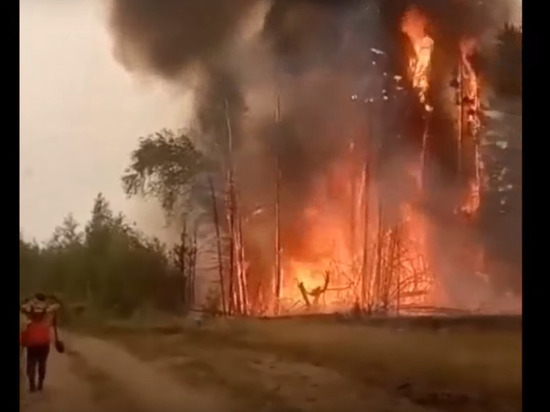 В МЧС рассказали о последствиях лесных пожаров в Сибири для России