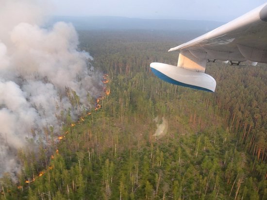 Омский боец Шлеменко считает лесные пожары экоцидом