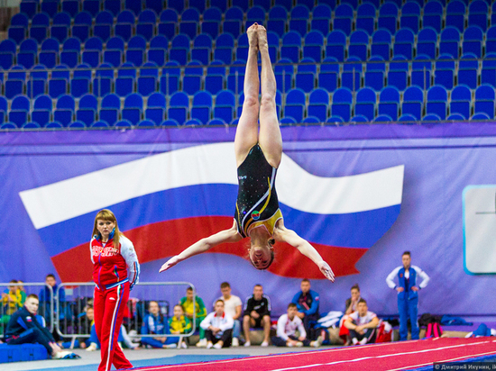 Кубок мира по прыжкам на батуте состоится в Хабаровске