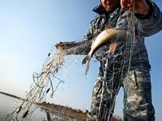 Браконьеры из Хакасии «наловили рыбы» на 320 тысяч