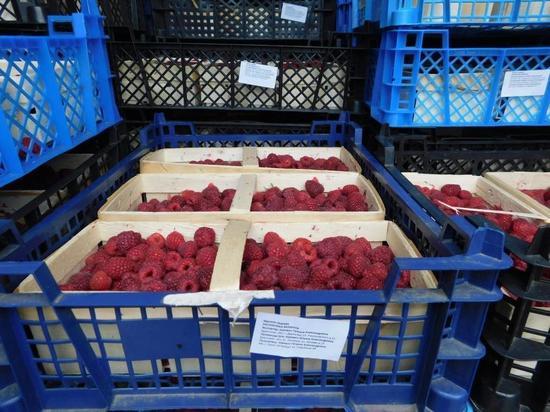 20 тонн ржаной муки и 700 кг малины не пустили в Псковскую область