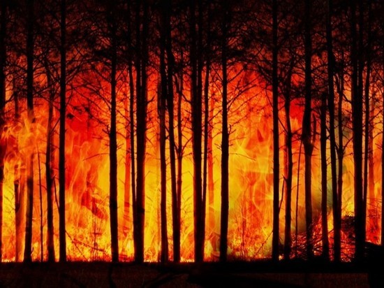 Росгидромет объяснил паводки и пожары в Сибири изменением климата