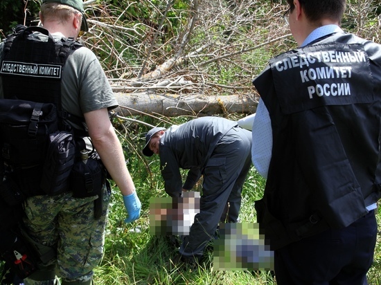 Суд арестовал подозреваемого в убийстве в Солотче