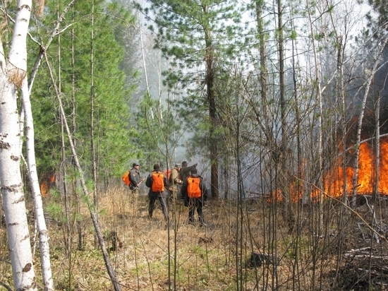 Специалисты обвинили в сибирских пожарах глобальные климатические изменения