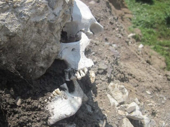 Кости и черепа нашел рыбак на берегу алтайской речки