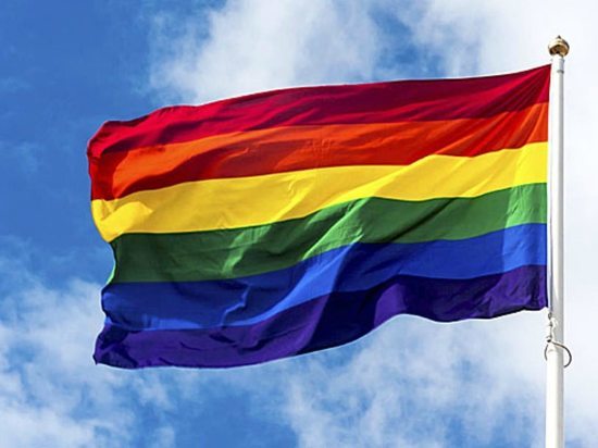 На Дворцовой задержали 13 ЛГБТ-активистов