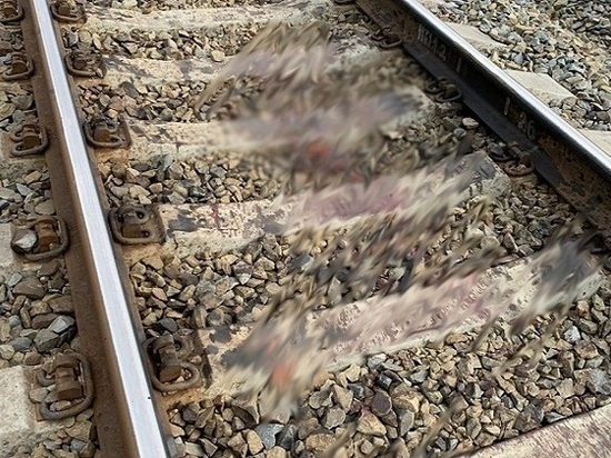 В Ростовской области мужчина погиб под колесами поезда