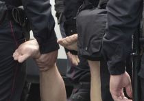 МВД по Тверскому району Москвы начало проверку по факту чрезмерного применения силы в отношении подростка сотрудником Росгвардии на несанкционированном митинге в Москве, который прошел 3 августа, сообщает Telegram-канал Baza