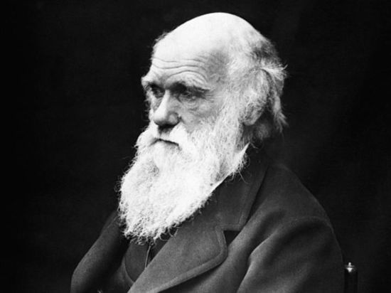 Протоиерей утверждает, что великий натуралист раскаялся в своей теории эволюции