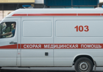 Несчастный случай стал причиной гибели двухлетнего ребенка 4 августа в Рузском районе Московской области