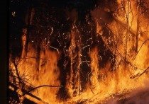 Пожары в Сибири начали усиленно тушить, огонь вроде пошел на спад