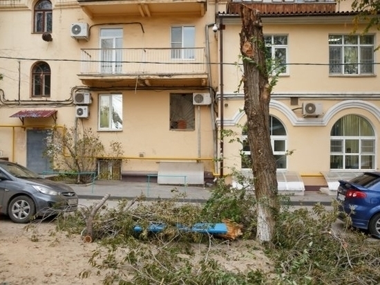 Волгоградские коммунальщики устраняют последствия штормового ветра