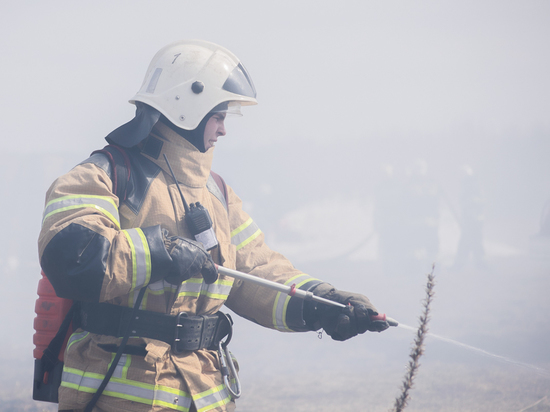 У лесопожарных Тверской области появилась  новая техника