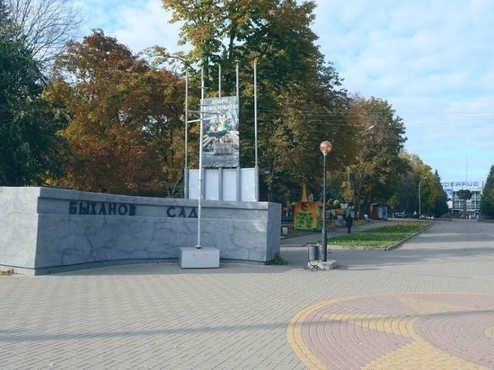 Ремонт Быханова сада в Липецке сделают в онлайн-режиме
