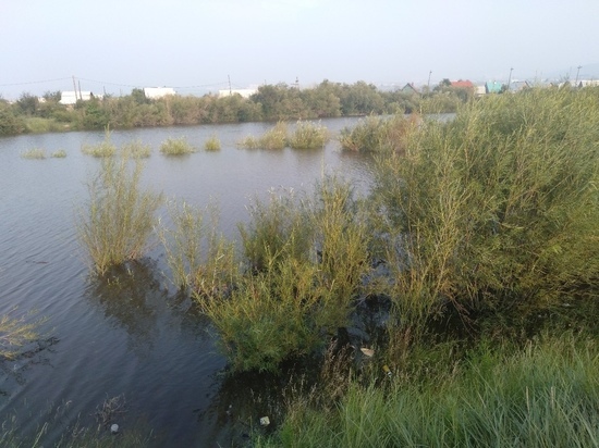 В Улан-Удэ уровень воды в Селенге продолжает понижаться